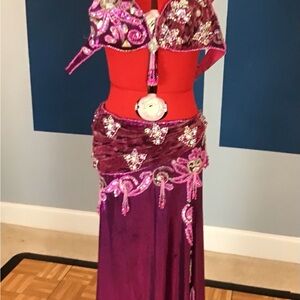 Professional belly dance costume